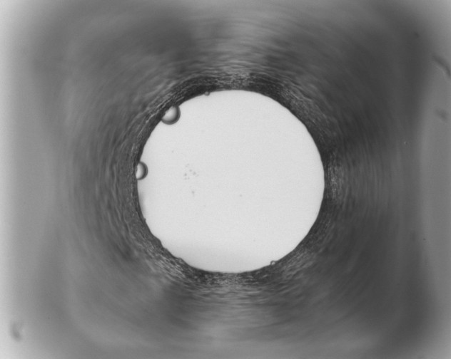 X0000102511057200808291729