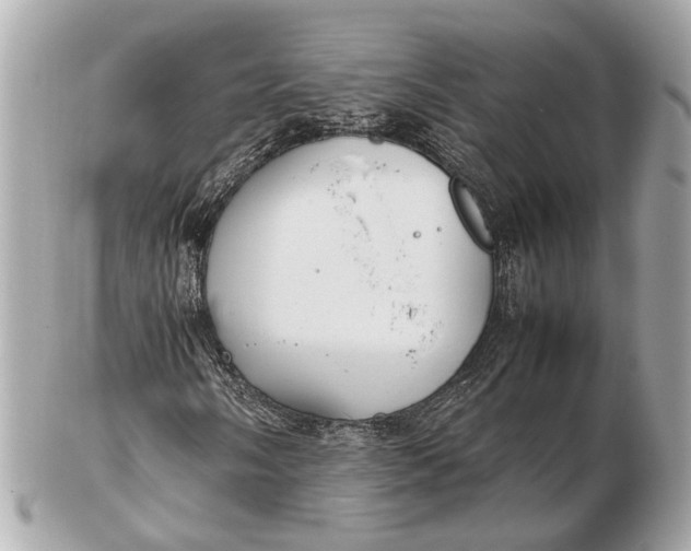 X0000102511058200808291729
