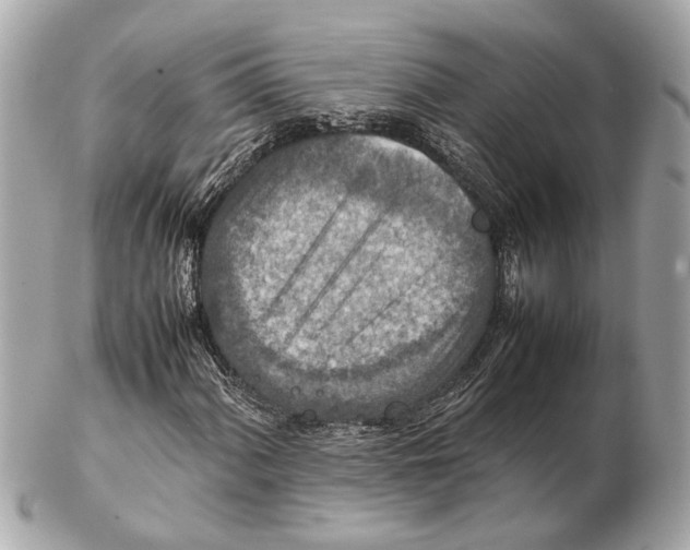 X0000102511060200808291729