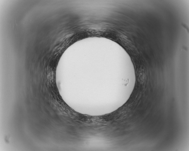 X0000102511061200808291729