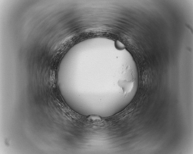 X0000102511062200808291729