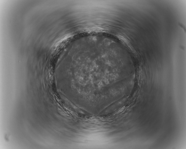 X0000102511063200808291729