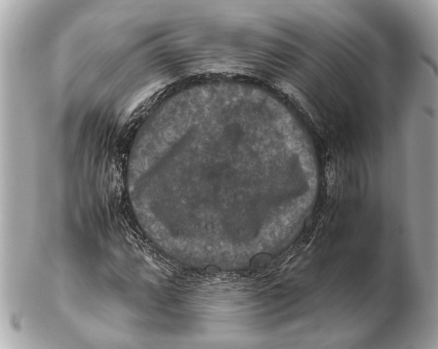 X0000102511064200808291729
