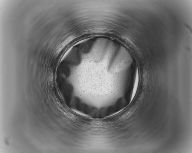 X0000102511065200808291729