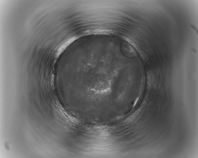 X0000102511066200808291729