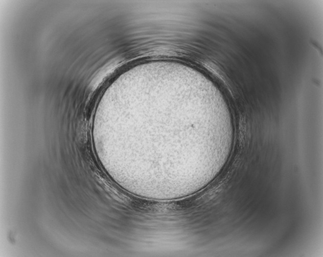 X0000102511067200808291729