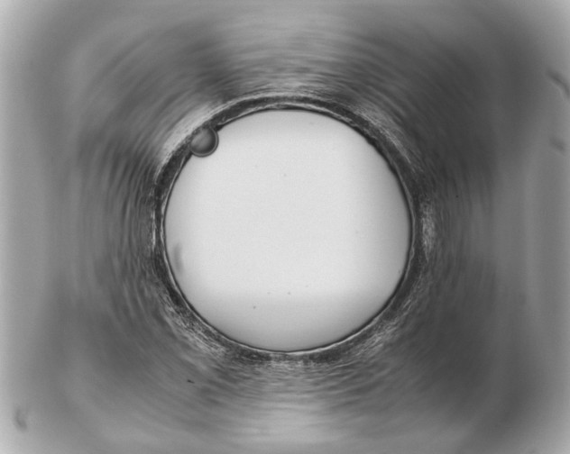X0000102511069200808291729