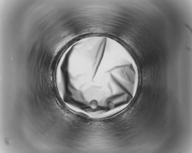 X0000102511070200808291729