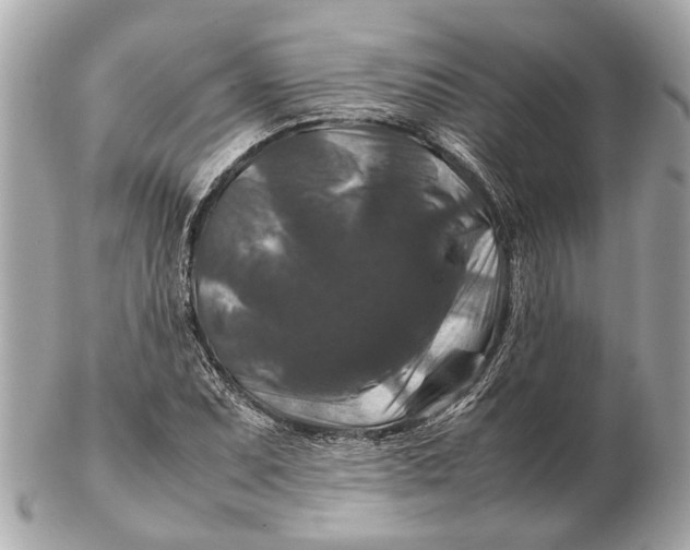 X0000102511071200808291729
