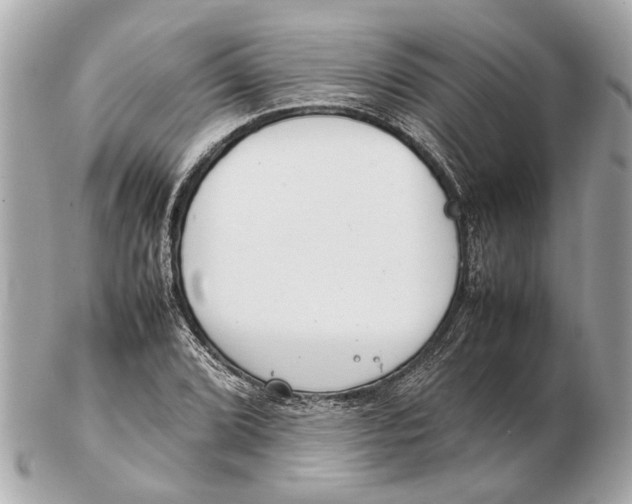 X0000102511072200808291729
