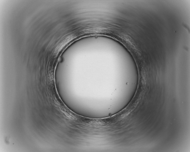 X0000102511073200808291729