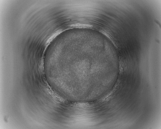 X0000102511074200808291729