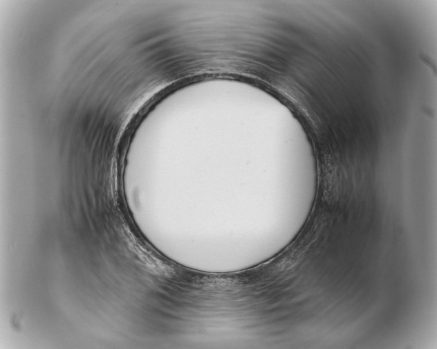 X0000102511076200808291729