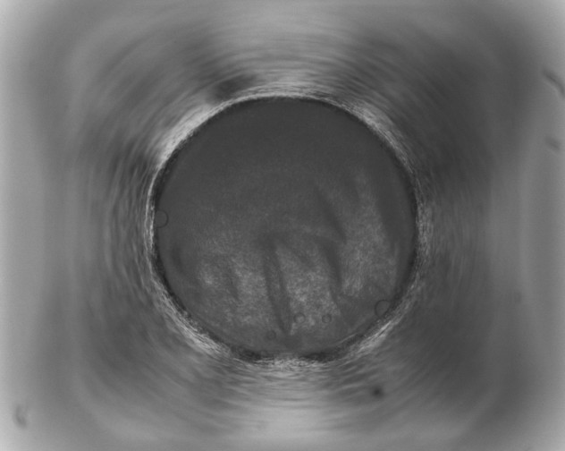 X0000102511077200808291729