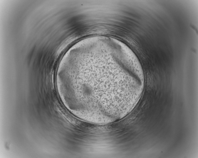 X0000102511078200808291729