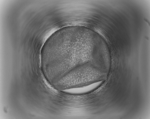 X0000102511079200808291729