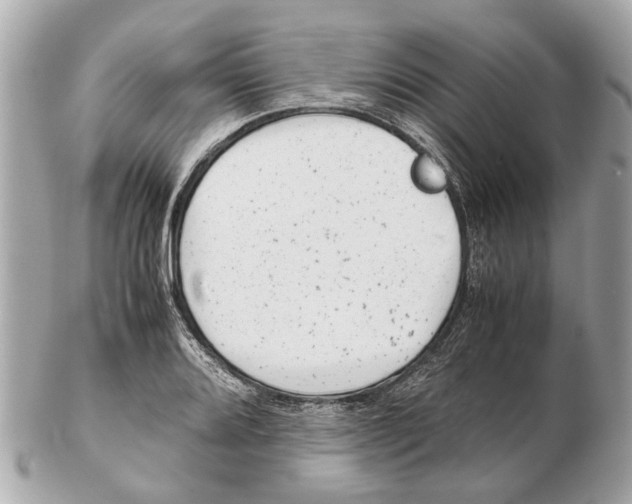 X0000102511080200808291729