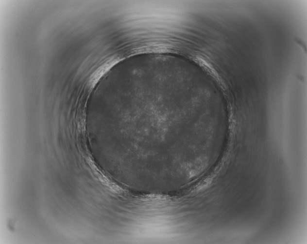 X0000102511081200808291729