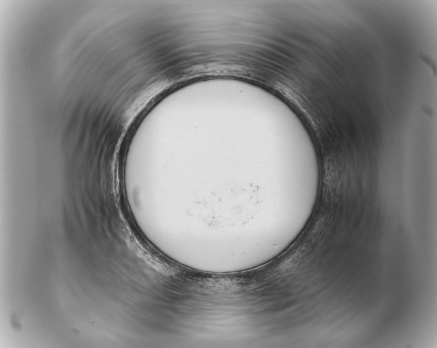 X0000102511082200808291729