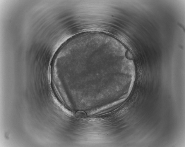 X0000102511084200808291728