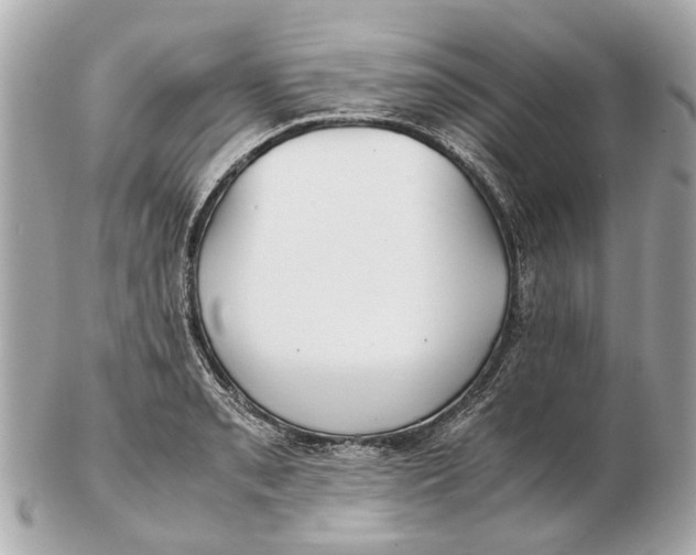 X0000102511085200808291728