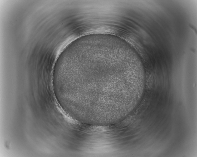 X0000102511086200808291728