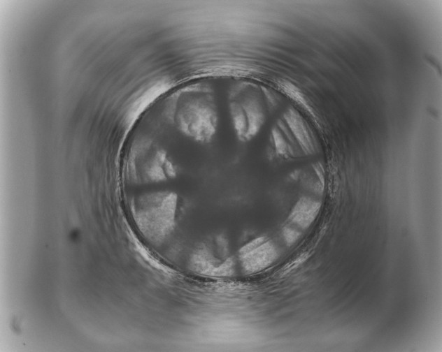 X0000102511087200808291728