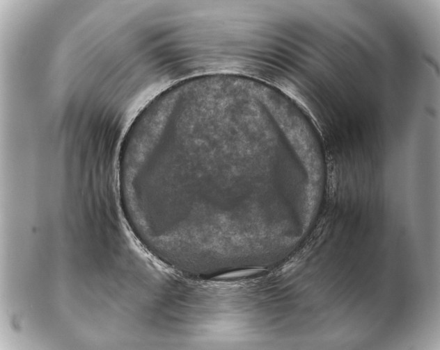 X0000102511088200808291728