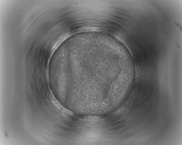 X0000102511090200808291728