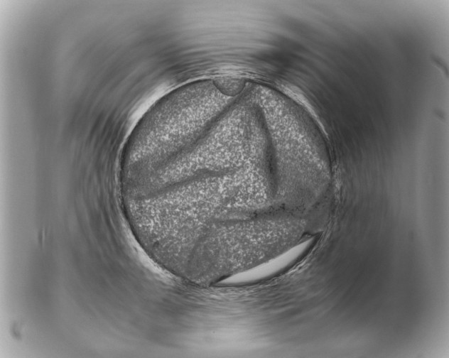 X0000102511091200808291728