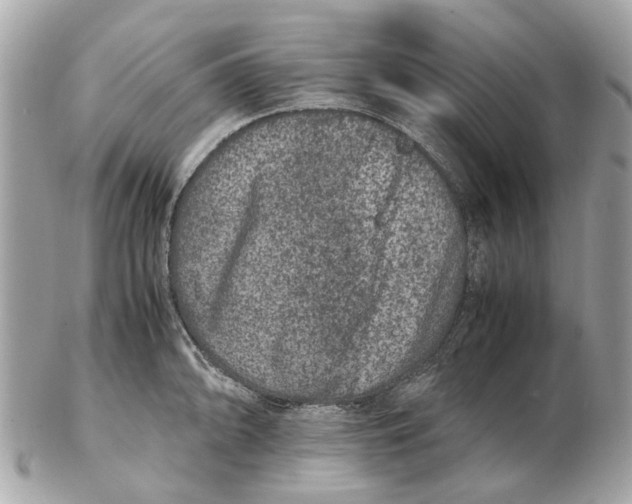 X0000102511094200808291728