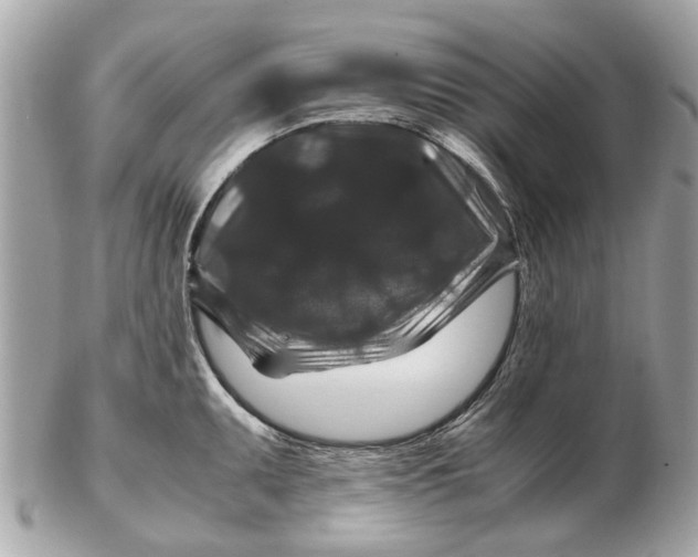 X0000102511095200808291728