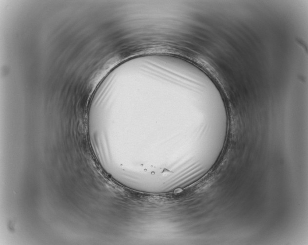 X0000102511097200808291728