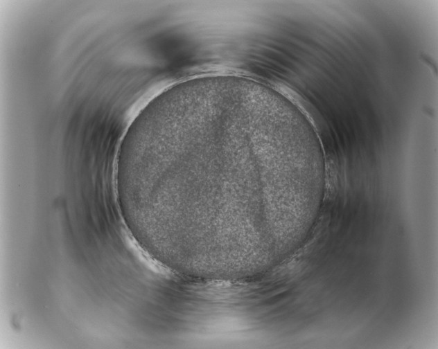 X0000102511098200808291728