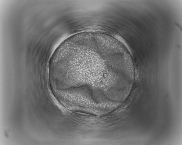 X0000102511099200808291728