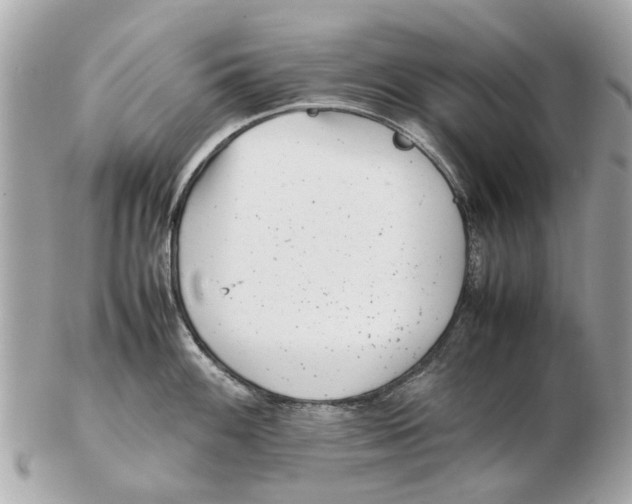 X0000102511100200808291728