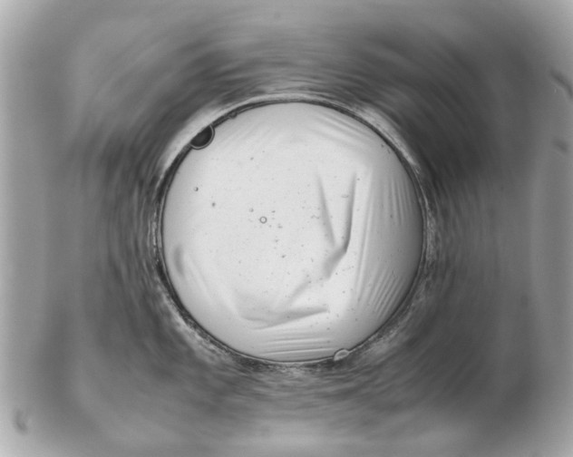 X0000102511101200808291728