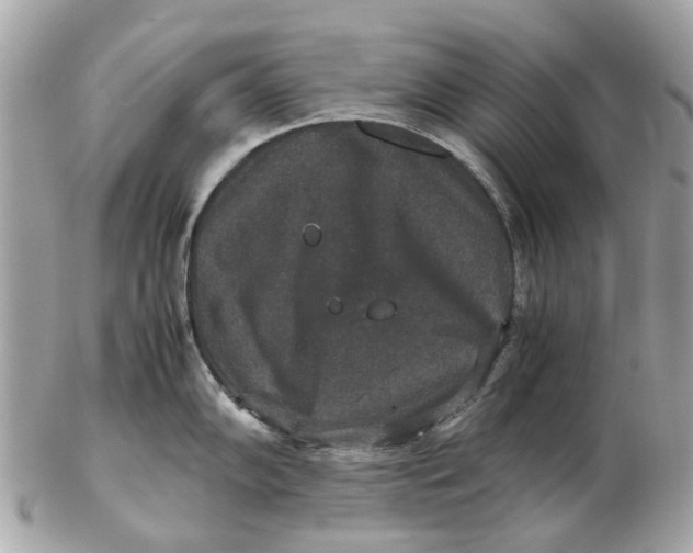 X0000102511102200808291728