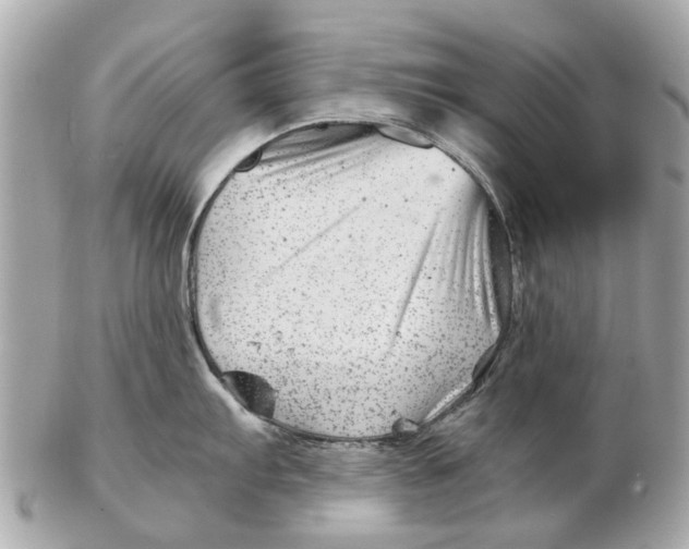 X0000102511103200808291728