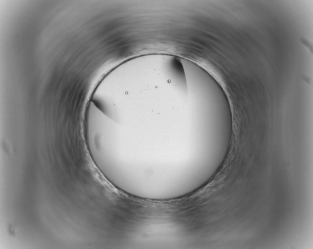X0000102511104200808291728