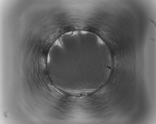 X0000102511106200808291728