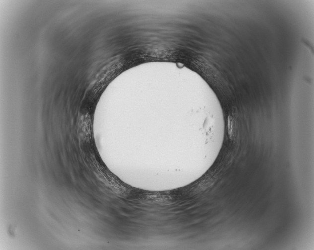 X0000102511107200808291728