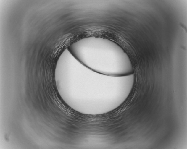 X0000102511108200808291728