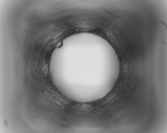 X0000102511109200808291728