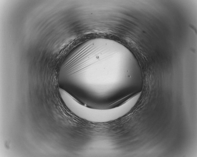 X0000102511110200808291728