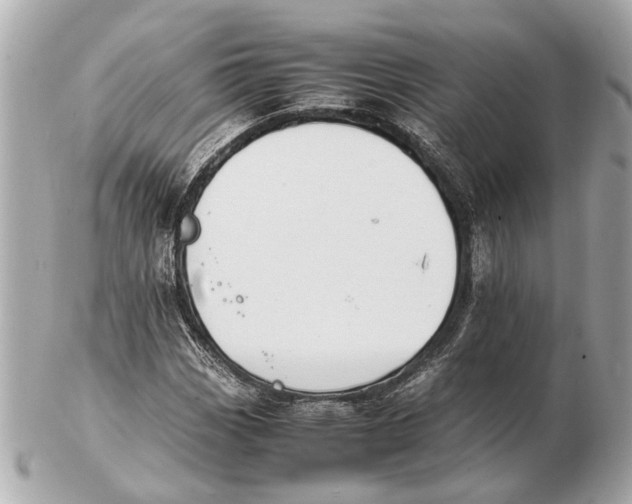 X0000102511113200808291728