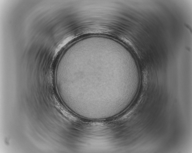 X0000102511114200808291728