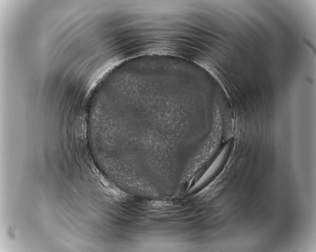 X0000102511115200808291728