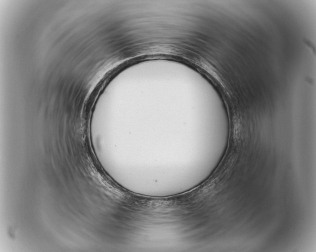 X0000102511116200808291728