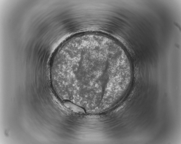 X0000102511118200808291728